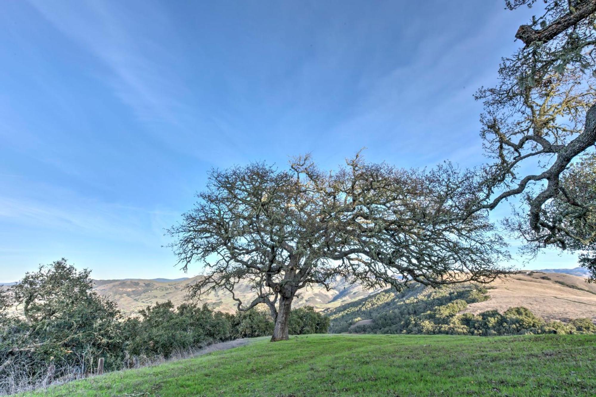 Lx37 Weathertop Ranch In Carmel Wine Country Кармел Вали Екстериор снимка
