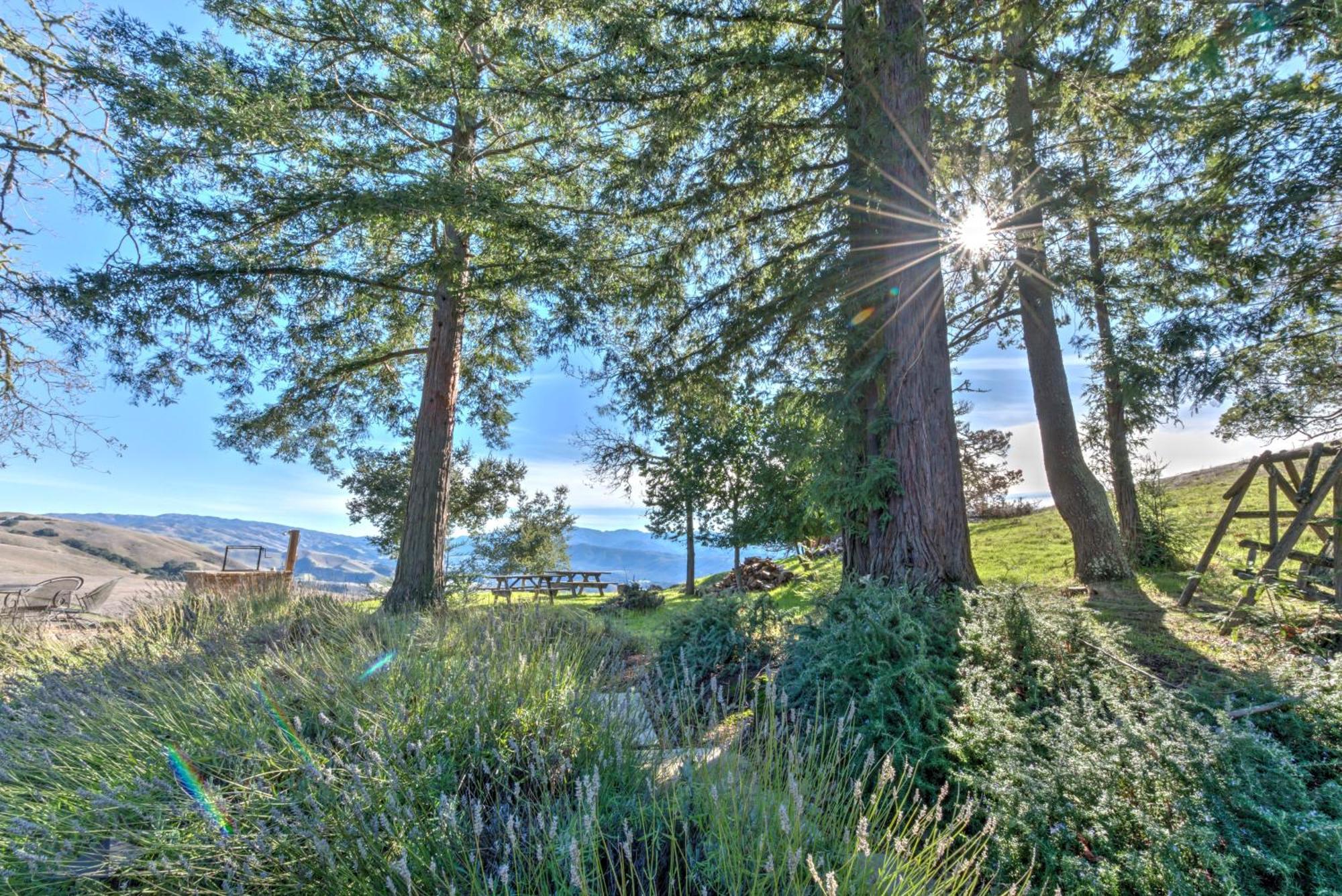 Lx37 Weathertop Ranch In Carmel Wine Country Кармел Вали Екстериор снимка